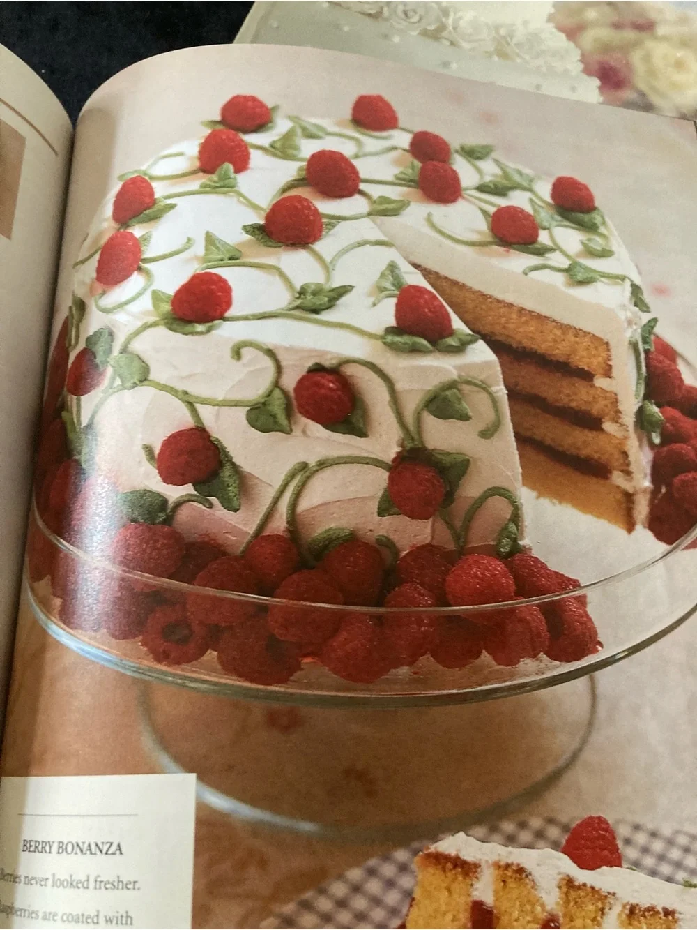 Wilton Wedding and Specialty Cake Decorating Guide Lot of 2